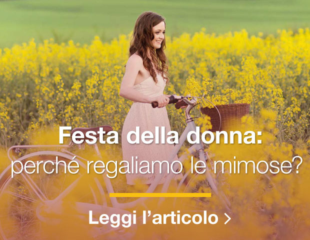 Festa della Donna: perché regaliamo le mimose?