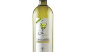 Vino bianco Muller Thurgau DOC