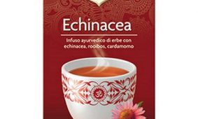 Echinacea 