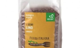 Semi di lino scuro 