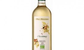 Vino bianco Chardonnay del Veneto orientale IGT