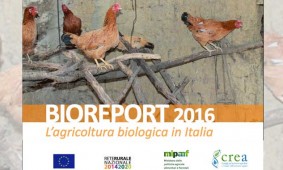 Il biologico italiano sempre più dinamico, lo dice Bioreport 2016