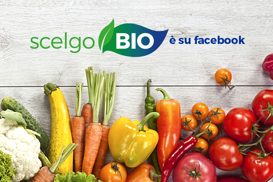 Scelgo.bio è su facebook